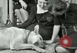 Image Adolf Hitler's Companion Berchtesgaden Allemagne, 1940, de la seconde 50 séquences d'archives historiques vidéo 65675077829