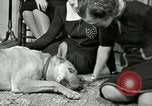Image Adolf Hitler's Companion Berchtesgaden Allemagne, 1940, de la seconde 51 séquences d'archives historiques vidéo 65675077829
