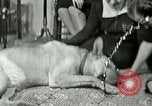 Image Adolf Hitler's Companion Berchtesgaden Allemagne, 1940, de la seconde 52 séquences d'archives historiques vidéo 65675077829