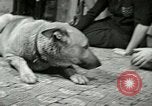 Image Adolf Hitler's Companion Berchtesgaden Allemagne, 1940, de la seconde 57 séquences d'archives historiques vidéo 65675077829