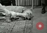 Image Adolf Hitler's Companion Berchtesgaden Allemagne, 1940, de la seconde 60 séquences d'archives historiques vidéo 65675077829