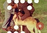 Standbild Eva Braun die Familie Deutschland, 1940, aus Sekunde 46 historischem Filmmaterial Videoclip 65675077838