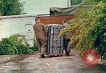 Image of Eva Braun's family Germany, 1938, second 39 stock footage video 65675077842