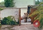 Image of Eva Braun's family Germany, 1938, second 60 stock footage video 65675077842