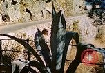 Image Eva Braun's family Portofino, 1938, de la seconde 56 séquences d'archives historiques vidéo 65675077843