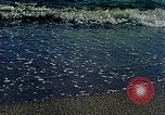 Image of Eva Braun's family Italy, 1938, second 50 stock footage video 65675077845