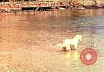 Standbild Eva Braun im Urlaub in Paraggi in der Nähe von Portofino Ligurien Italien, 1938, aus Sekunde 47 historischem Filmmaterial Videoclip 65675077856