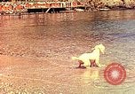 Standbild Eva Braun im Urlaub in Paraggi in der Nähe von Portofino Ligurien Italien, 1938, aus Sekunde 48 historischem Filmmaterial Videoclip 65675077856