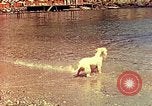Standbild Eva Braun im Urlaub in Paraggi in der Nähe von Portofino Ligurien Italien, 1938, aus Sekunde 49 historischem Filmmaterial Videoclip 65675077856