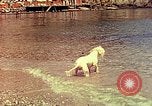Standbild Eva Braun im Urlaub in Paraggi in der Nähe von Portofino Ligurien Italien, 1938, aus Sekunde 50 historischem Filmmaterial Videoclip 65675077856