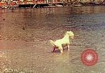 Standbild Eva Braun im Urlaub in Paraggi in der Nähe von Portofino Ligurien Italien, 1938, aus Sekunde 51 historischem Filmmaterial Videoclip 65675077856