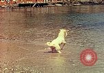 Standbild Eva Braun im Urlaub in Paraggi in der Nähe von Portofino Ligurien Italien, 1938, aus Sekunde 52 historischem Filmmaterial Videoclip 65675077856