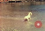 Standbild Eva Braun im Urlaub in Paraggi in der Nähe von Portofino Ligurien Italien, 1938, aus Sekunde 53 historischem Filmmaterial Videoclip 65675077856