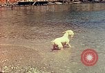 Standbild Eva Braun im Urlaub in Paraggi in der Nähe von Portofino Ligurien Italien, 1938, aus Sekunde 54 historischem Filmmaterial Videoclip 65675077856