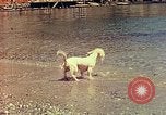 Standbild Eva Braun im Urlaub in Paraggi in der Nähe von Portofino Ligurien Italien, 1938, aus Sekunde 56 historischem Filmmaterial Videoclip 65675077856