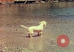 Standbild Eva Braun im Urlaub in Paraggi in der Nähe von Portofino Ligurien Italien, 1938, aus Sekunde 57 historischem Filmmaterial Videoclip 65675077856