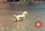 Standbild Eva Braun im Urlaub in Paraggi in der Nähe von Portofino Ligurien Italien, 1938, aus Sekunde 58 historischem Filmmaterial Videoclip 65675077856