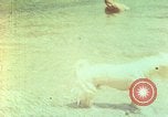 Standbild Eva Braun im Urlaub in Paraggi in der Nähe von Portofino Ligurien Italien, 1938, aus Sekunde 59 historischem Filmmaterial Videoclip 65675077856