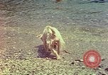 Standbild Eva Braun im Urlaub in Paraggi in der Nähe von Portofino Ligurien Italien, 1938, aus Sekunde 60 historischem Filmmaterial Videoclip 65675077856