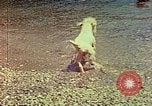 Standbild Eva Braun im Urlaub in Paraggi in der Nähe von Portofino Ligurien Italien, 1938, aus Sekunde 61 historischem Filmmaterial Videoclip 65675077856