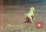 Standbild Eva Braun im Urlaub in Paraggi in der Nähe von Portofino Ligurien Italien, 1938, aus Sekunde 62 historischem Filmmaterial Videoclip 65675077856