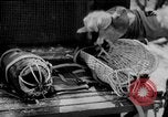 Standbild Hunde während des Krieges United States USA, 1943, aus Sekunde 4 historischem Filmmaterial Videoclip 65675077867