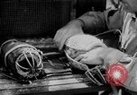 Standbild Hunde während des Krieges United States USA, 1943, aus Sekunde 9 historischem Filmmaterial Videoclip 65675077867