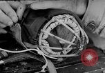 Standbild Hunde während des Krieges United States USA, 1943, aus Sekunde 23 historischem Filmmaterial Videoclip 65675077867