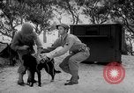 Standbild Hunde während des Krieges United States USA, 1943, aus Sekunde 30 historischem Filmmaterial Videoclip 65675077867