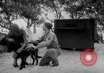 Standbild Hunde während des Krieges United States USA, 1943, aus Sekunde 31 historischem Filmmaterial Videoclip 65675077867