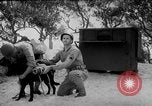 Standbild Hunde während des Krieges United States USA, 1943, aus Sekunde 32 historischem Filmmaterial Videoclip 65675077867