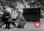 Standbild Hunde während des Krieges United States USA, 1943, aus Sekunde 34 historischem Filmmaterial Videoclip 65675077867