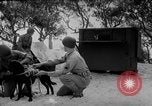 Standbild Hunde während des Krieges United States USA, 1943, aus Sekunde 36 historischem Filmmaterial Videoclip 65675077867