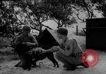 Standbild Hunde während des Krieges United States USA, 1943, aus Sekunde 45 historischem Filmmaterial Videoclip 65675077867