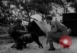 Standbild Hunde während des Krieges United States USA, 1943, aus Sekunde 46 historischem Filmmaterial Videoclip 65675077867