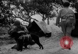 Standbild Hunde während des Krieges United States USA, 1943, aus Sekunde 47 historischem Filmmaterial Videoclip 65675077867