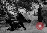 Standbild Hunde während des Krieges United States USA, 1943, aus Sekunde 48 historischem Filmmaterial Videoclip 65675077867