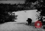 Standbild Hunde während des Krieges United States USA, 1943, aus Sekunde 54 historischem Filmmaterial Videoclip 65675077867