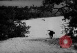 Standbild Hunde während des Krieges United States USA, 1943, aus Sekunde 55 historischem Filmmaterial Videoclip 65675077867