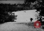 Standbild Hunde während des Krieges United States USA, 1943, aus Sekunde 56 historischem Filmmaterial Videoclip 65675077867