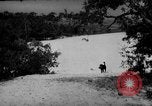 Standbild Hunde während des Krieges United States USA, 1943, aus Sekunde 58 historischem Filmmaterial Videoclip 65675077867