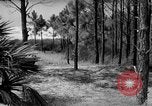 Standbild Hunde während des Krieges United States USA, 1943, aus Sekunde 62 historischem Filmmaterial Videoclip 65675077867