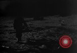 Image of dogs during war United States USA, 1943, second 8 stock footage video 65675077868