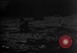 Image of dogs during war United States USA, 1943, second 11 stock footage video 65675077868