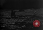 Image of dogs during war United States USA, 1943, second 14 stock footage video 65675077868