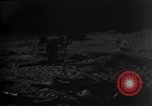 Image of dogs during war United States USA, 1943, second 18 stock footage video 65675077868