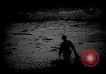 Image of dogs during war United States USA, 1943, second 26 stock footage video 65675077868