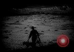 Image of dogs during war United States USA, 1943, second 27 stock footage video 65675077868