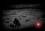 Image of dogs during war United States USA, 1943, second 29 stock footage video 65675077868