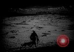 Image of dogs during war United States USA, 1943, second 30 stock footage video 65675077868